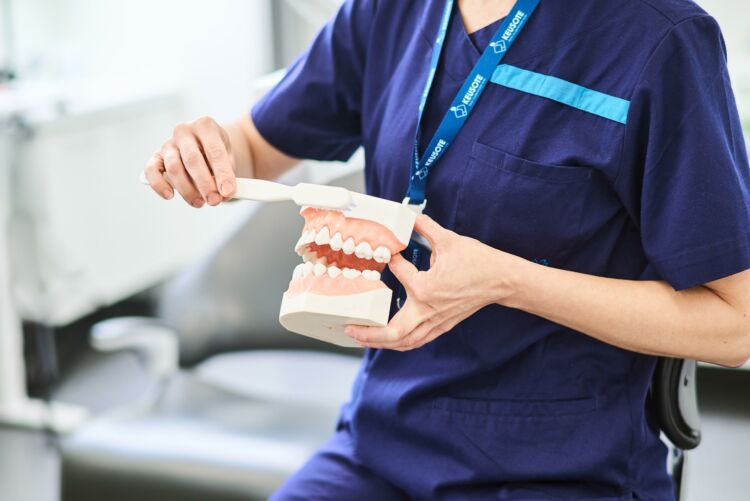 Kuvassa suun terveydenhuollon ammattilainen näyttää miten hampaat tulee harjata.