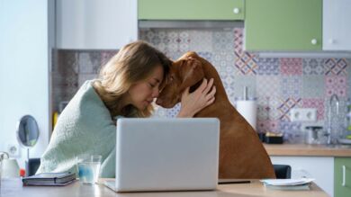 Kuvassa masentunut nainen sekä koira tietokoneen äärellä.